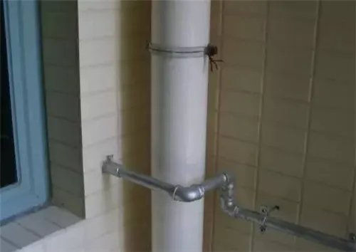 50下水管直径是多少