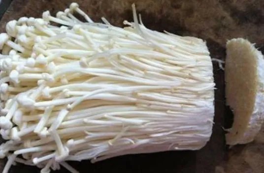 金针菇根怎么再生？