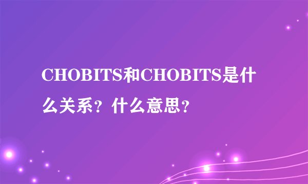 CHOBITS和CHOBITS是什么关系？什么意思？