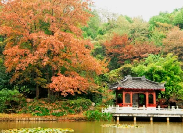 南京好玩的地方排行榜前十名