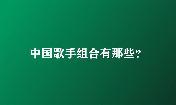 中国歌手组合有那些？