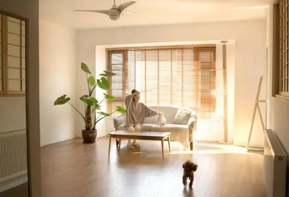 掌上明珠家居加盟渠道有哪些 掌上明珠全屋定制加盟扶持