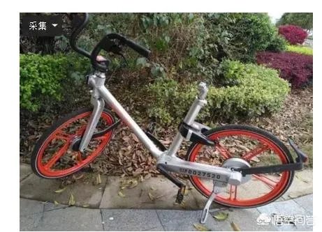 如何评价老伯冒着严寒打捞河中共享单车?