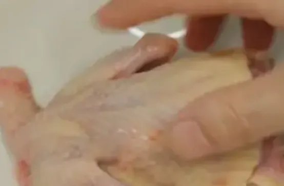 家常炖鸽子汤的做法