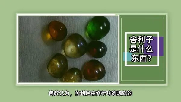 舍利子是什么东西?