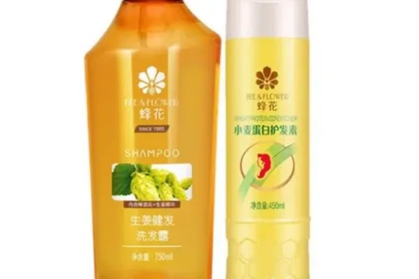 国内洗发水十大排行榜