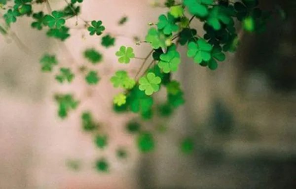 心情不好怎么说发朋友圈