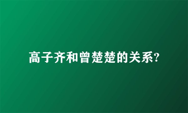 高子齐和曾楚楚的关系?