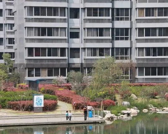 双休日装修可以报警吗