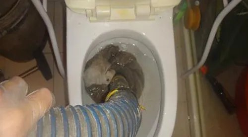 马桶为什么会堵 三个技巧帮你消除烦恼