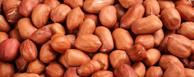 花生让我们想到了哪些默默无闻的人