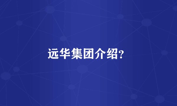 远华集团介绍？