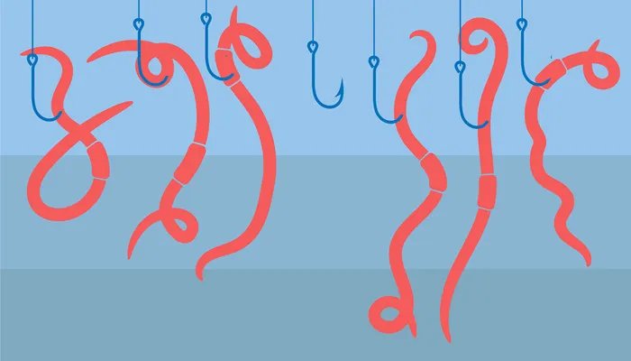 红虫是什么 红虫是什么虫