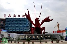 2017潜江龙虾节门票多少钱？2017潜江龙虾节门票