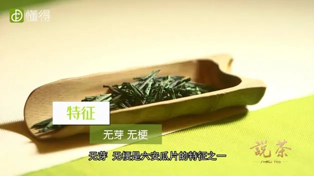 六安瓜片是什么茶