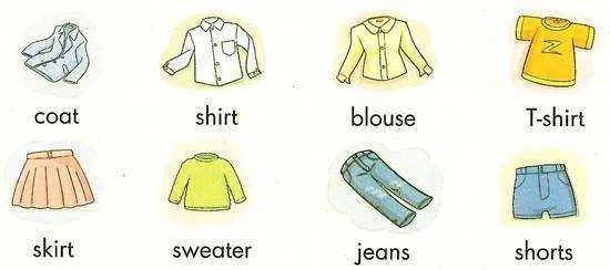 shirt中文什么意思