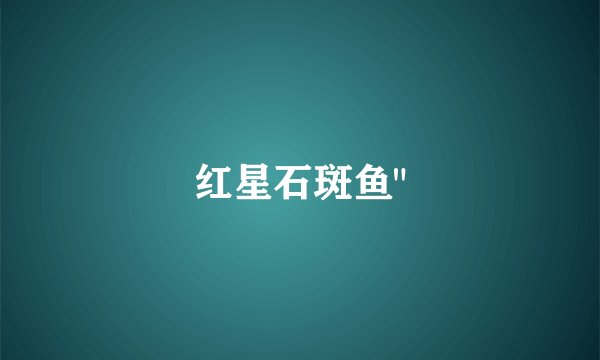 红星石斑鱼