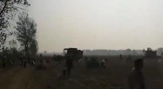 承包商收花生遭数百村民哄抢是怎么回事  承包商收花生为什么遭数百村民哄抢