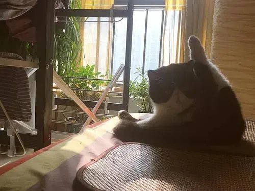 如何评价演员张晓晨？