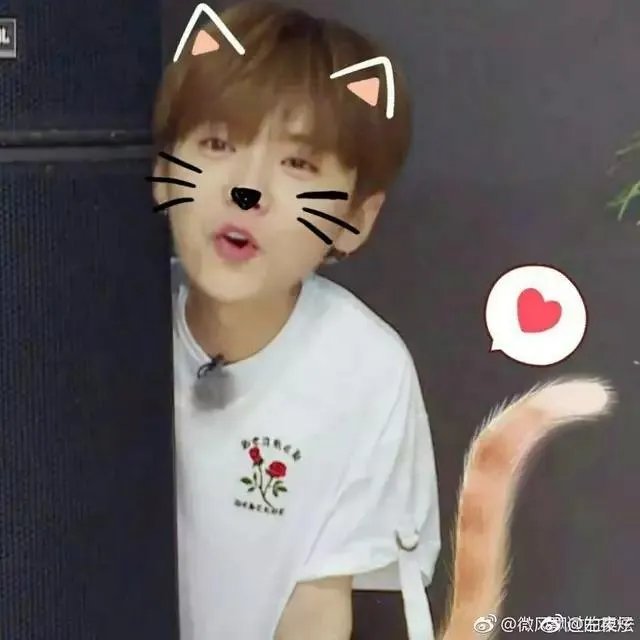 如何评价鹿晗和迪丽热巴吗？他们是不是特别合适？