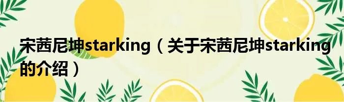 宋茜尼坤starking（关于宋茜尼坤starking的介绍）