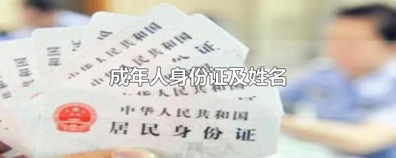 成年人身份证及姓名