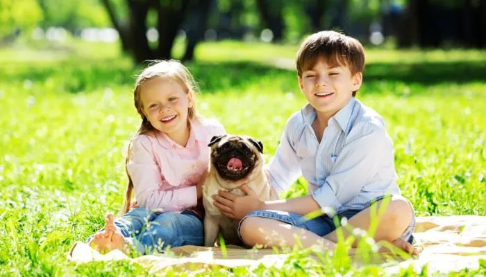 狗狗名字霸气独特 狗狗取名大全霸气十足