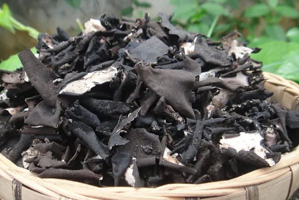 恩施十大土特产