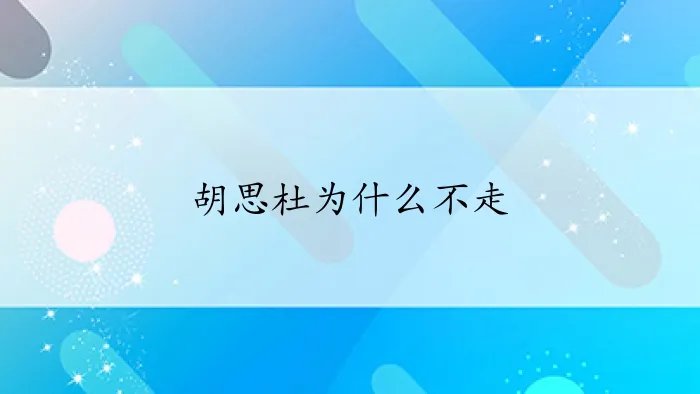 胡思杜为什么不走