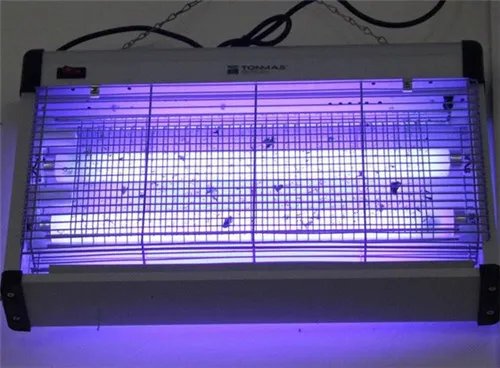 灭蝇灯是不是紫外线灯