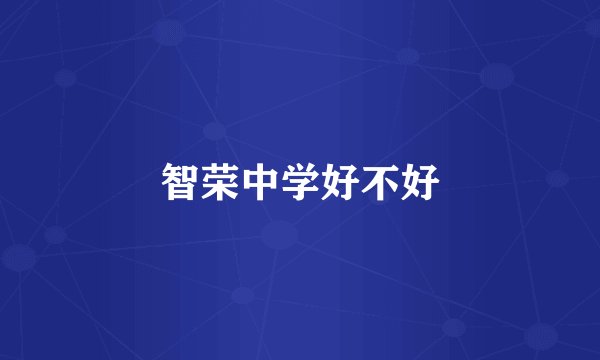 智荣中学好不好