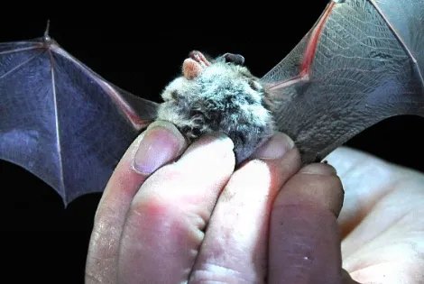 2020年法定节假日时间表