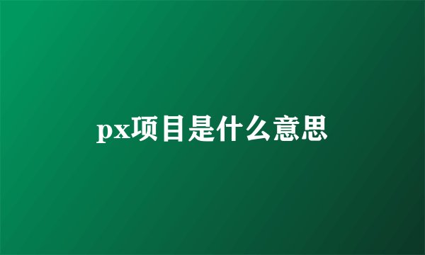 px项目是什么意思
