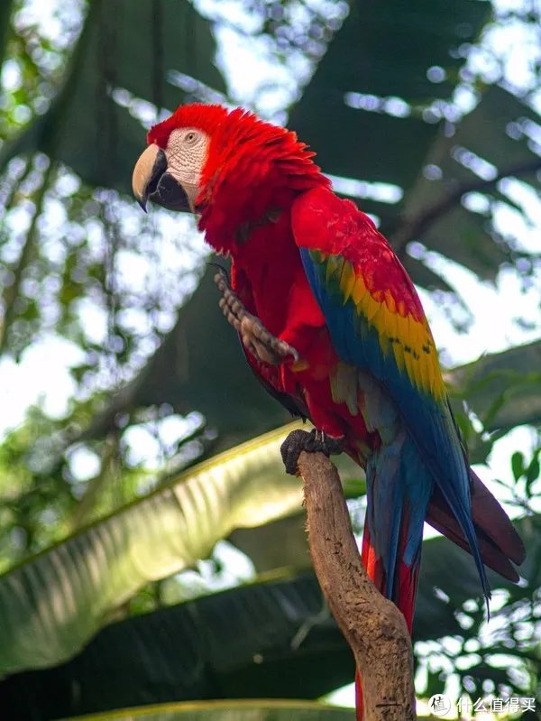 摄影器材 篇一：500元的口袋相机——松下 GX1