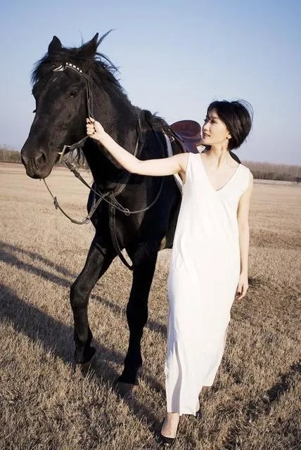 龙飘飘经典老歌50首歌词