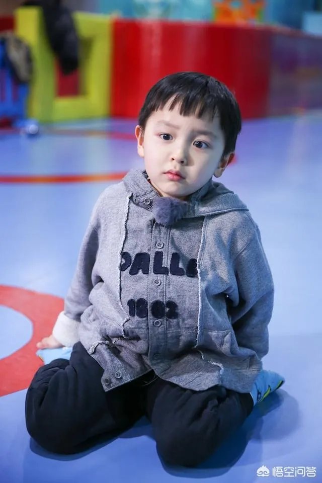 邓莎家的大麟子你们喜欢吗？