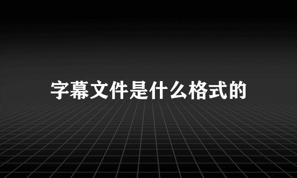 字幕文件是什么格式的