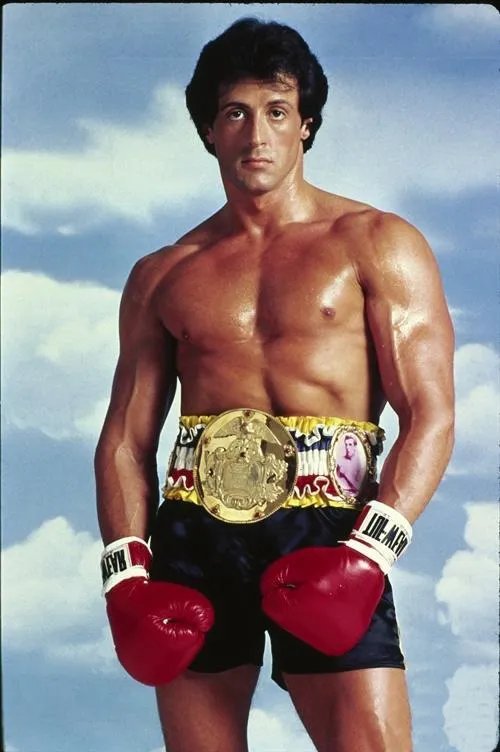 史泰龙和施瓦辛格谁厉害？