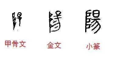 阳的组词有什么？