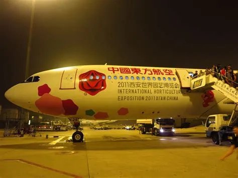 航班71架次取消,mu5127