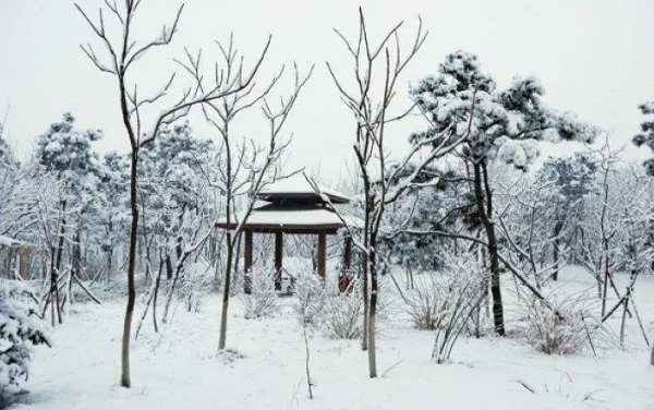 描写雪的诗有哪些？