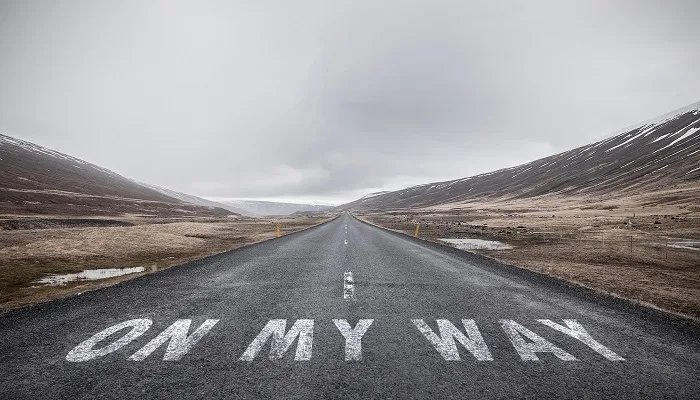 电放提单是什么