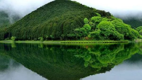 《离人心上》原著小说是什么？小说的结局是什么？