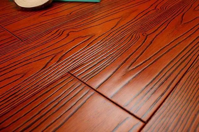 圆盘豆和番龙眼哪个好 从三方面来进行比较