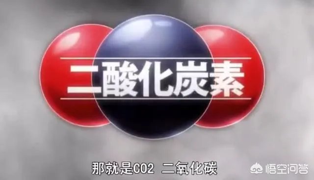 莫老五最后死了么