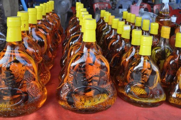 毒蛇泡酒的作用与禁忌