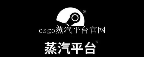 csgo蒸汽平台官网
