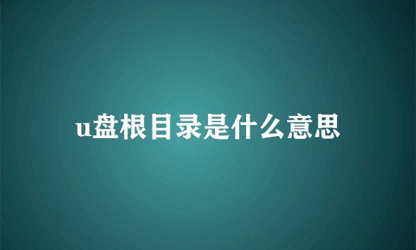 u盘根目录是什么意思