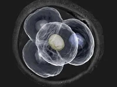 杭州市妇幼保健院