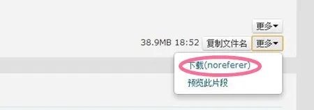 飞驴如何在线下载视频?